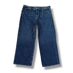 AEO American Eagle Womens Jeans Stovepipe Stretch Highrise Plus Size 18
